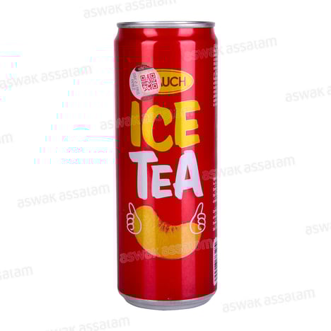 RAUCH Ice Tea Fruits Rouges Boîte 33cl
