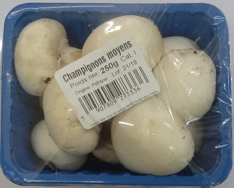 CHAMPIGNON Blanc Barquette 250g Import France par Avion