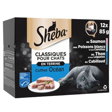 SHEBA Classiques Recettes Océanes Chat Pack de 12x85 g