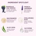 SKOG Body Wash With Bordeaux Vine Grape Extract – Antioxidant-Rich, Hydrating & Nourishing Body Cleanser For Soft, Smooth Skin – 200 Ml (6.8 Oz)