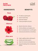 Love Organically Glow Natural Face Pack – 30g of Rose, Hibiscus & Aloe Vera for Radiant, Smooth Skin Pack of 2