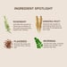 SKOG Super Hair Repair Serum With Rosemary And Ginseng Root For Hair Growth – 30 Ml (1 Oz)